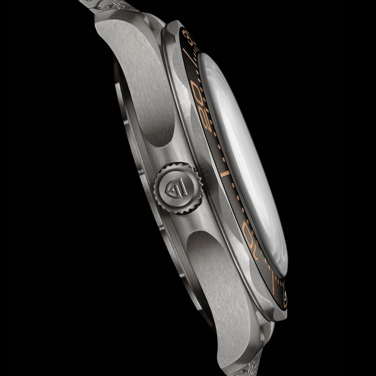 PAGANI DESIGN Men's Watches Lu - Rolex Watch Submariner review and price